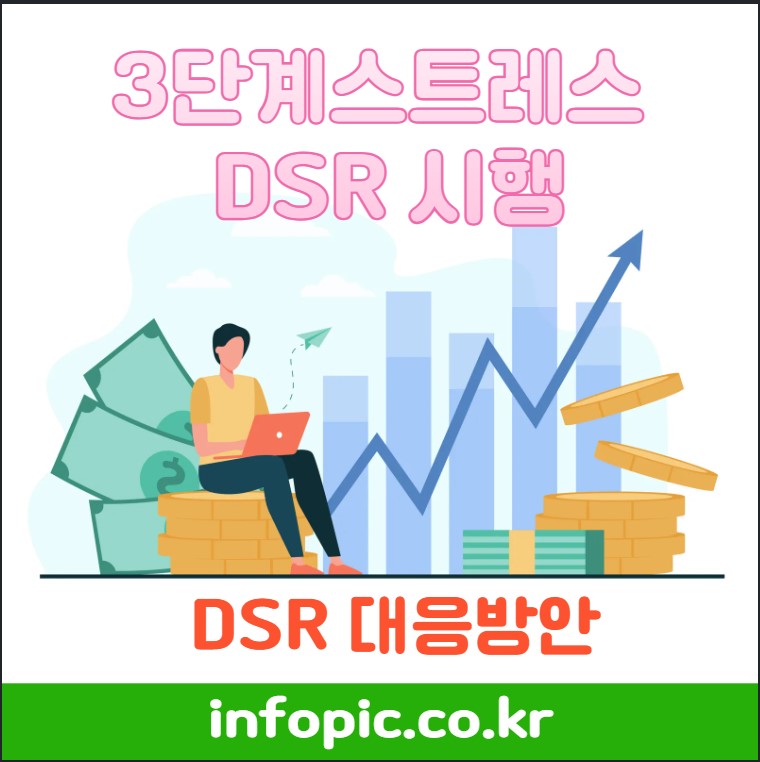 3단계스트레스 DSR시행