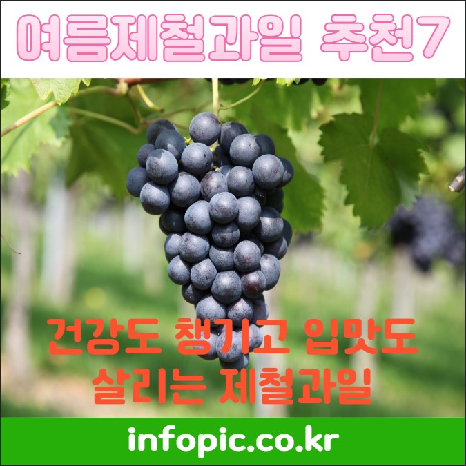여름제철과일 추천7